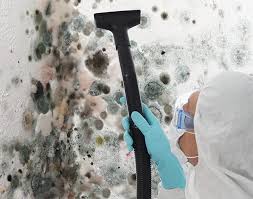 Biohazard Mold Removal in Bay Hill, FL